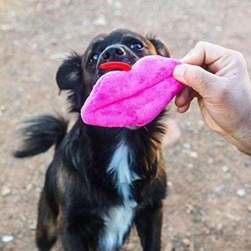 Lulubelles Power Plush Dog Toy Hot Lips - Poudre Pet & Feed Supply 7